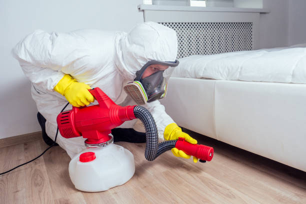 Best Bed Bug Extermination  in Lacoste, TX
