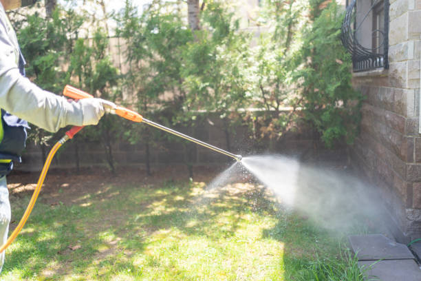 Best Mosquito Control Services  in Lacoste, TX