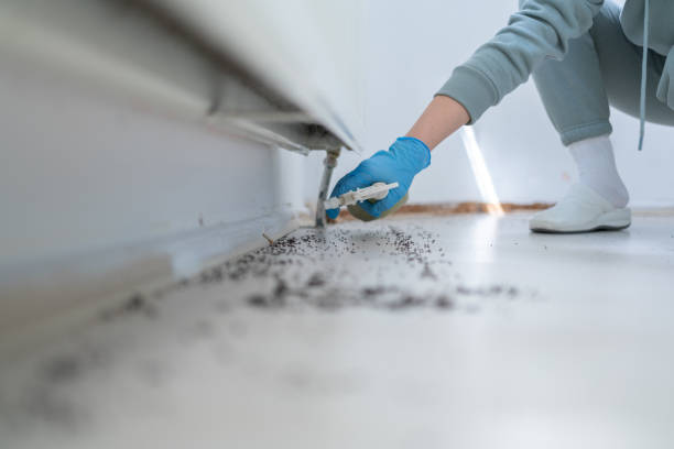 Best Best Pest Control Companies  in Lacoste, TX